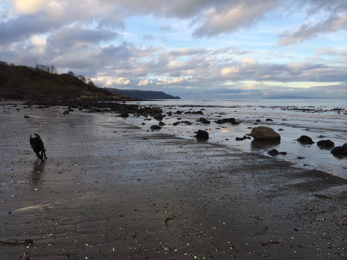 Josies Place At Waters Edge Self Catering Apartment Glenarm エクステリア 写真